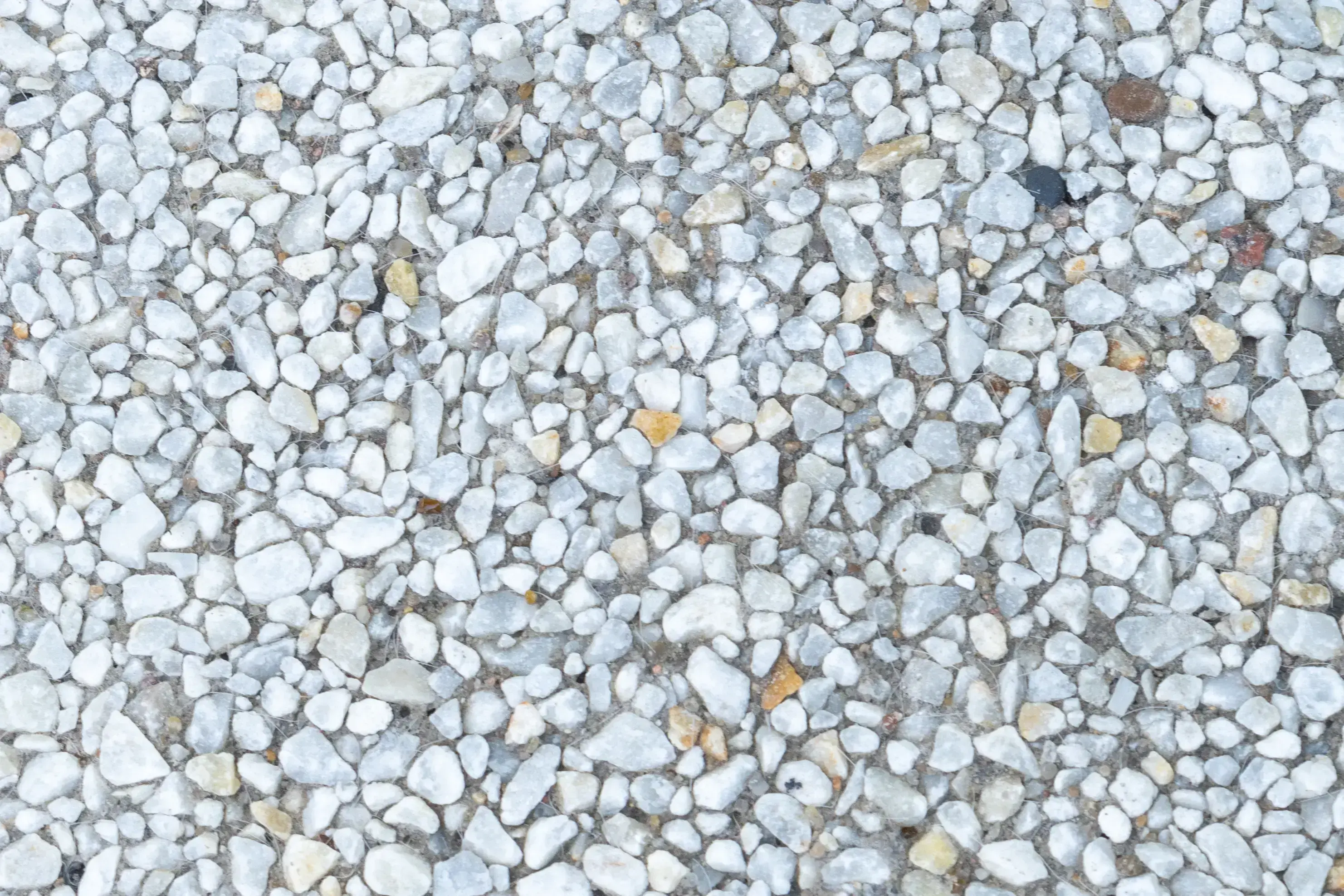 Bordyri